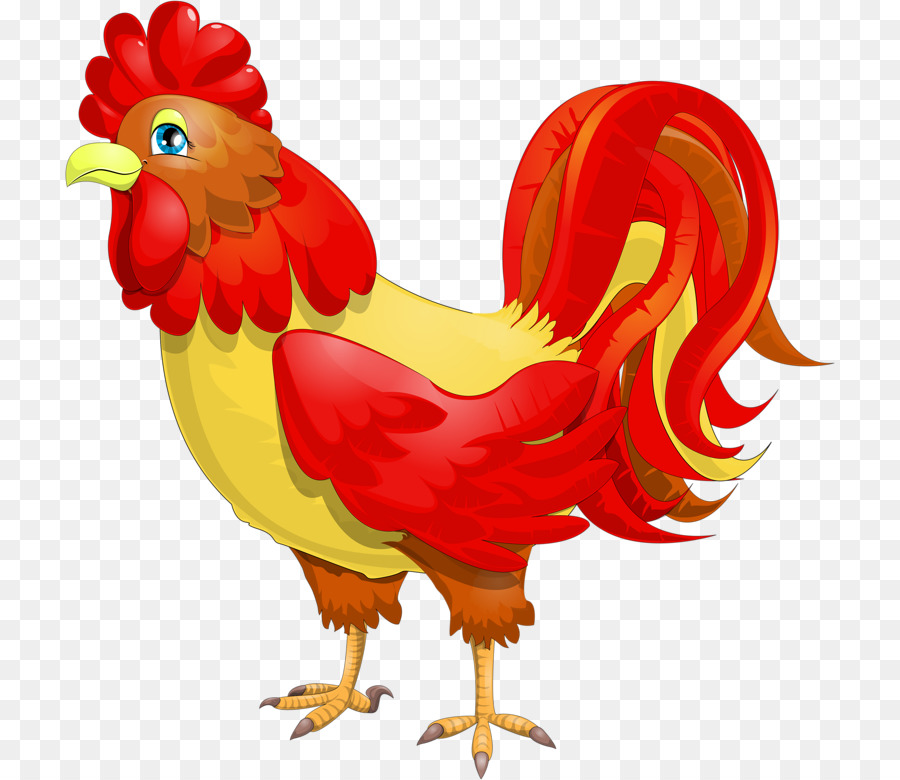 Pollo，Gallo PNG