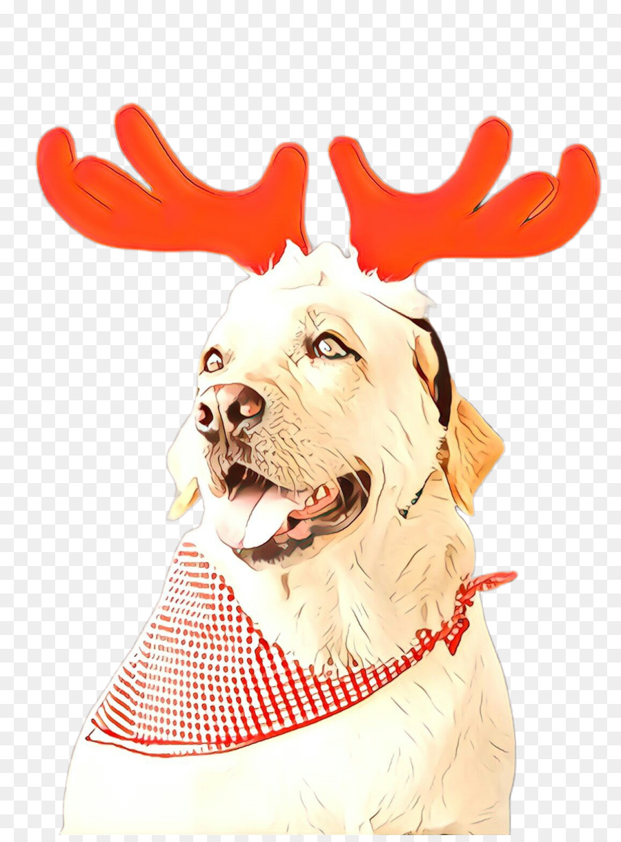 Labrador Retriever，Golden Retriever PNG