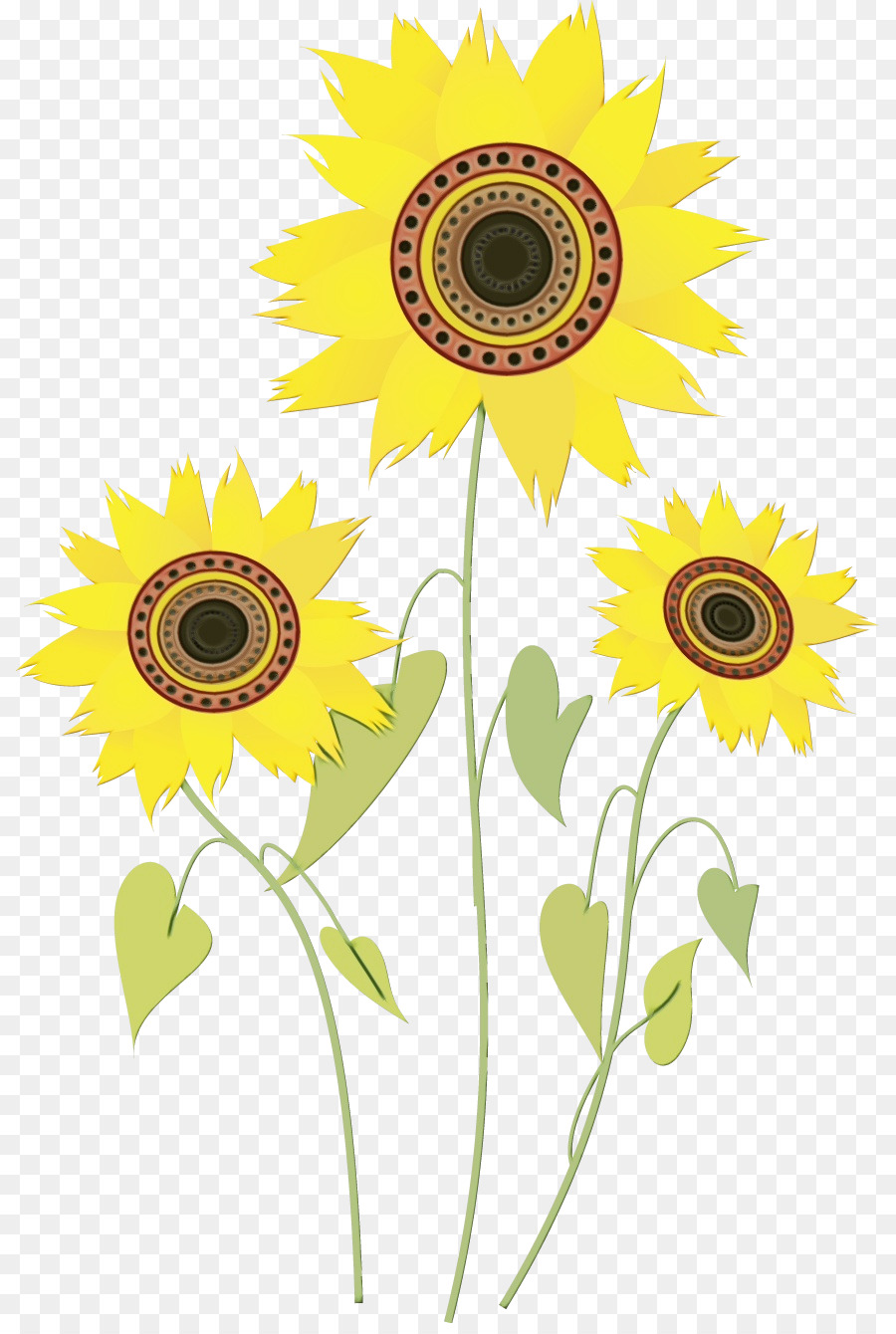 Girasol，Planta PNG