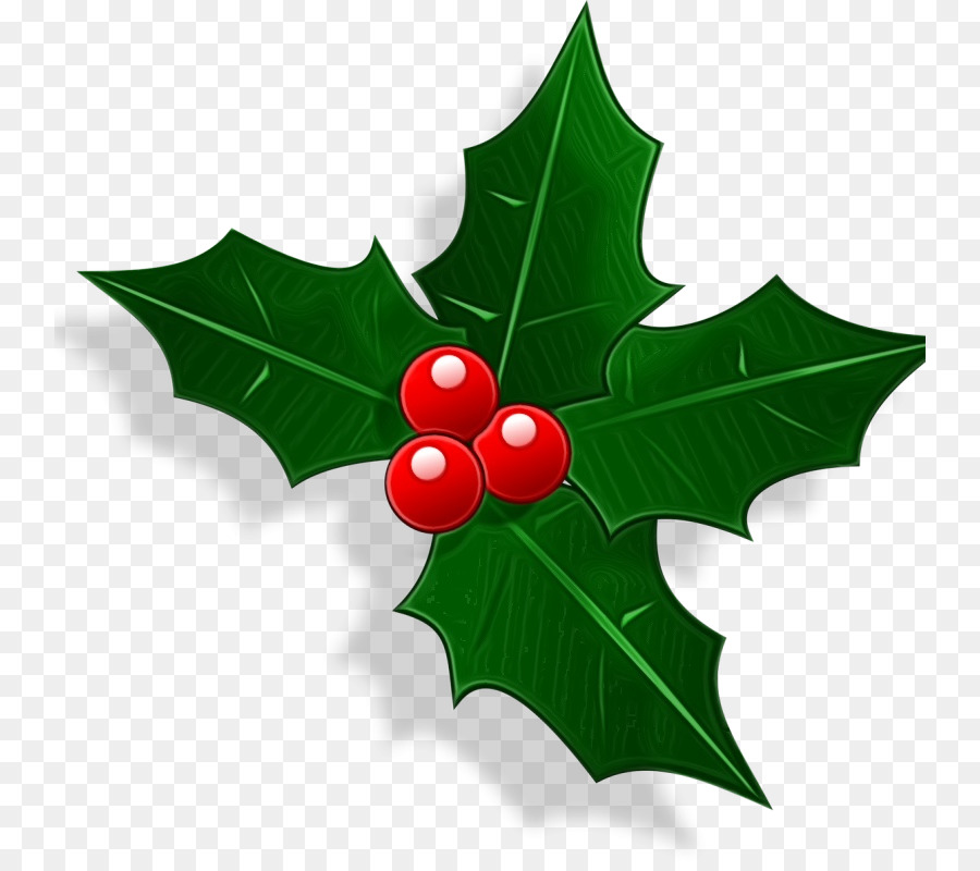 Christmas Day，Estadounidense Holly PNG