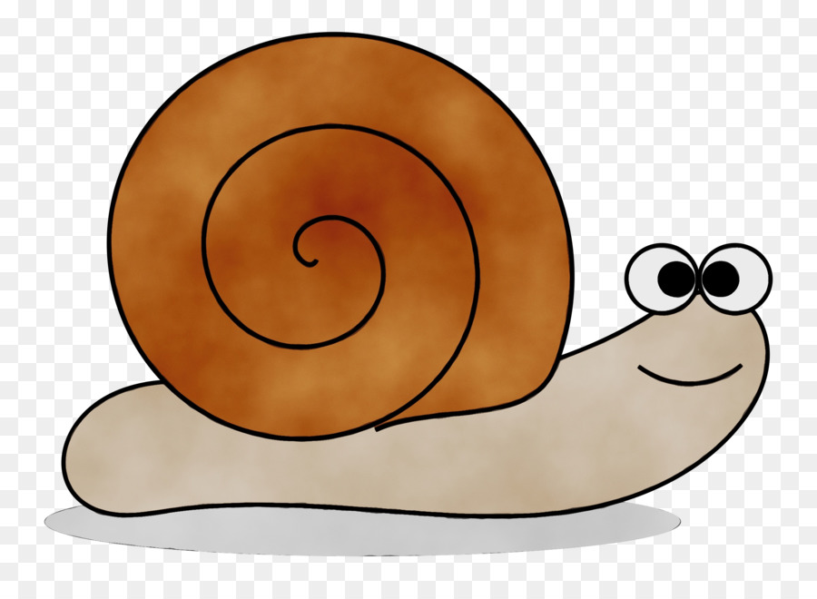 Caracol，Royaltyfree PNG