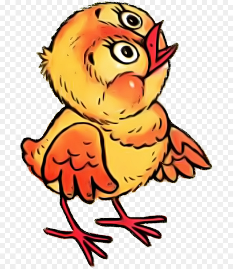 Pollo，Dibujo PNG