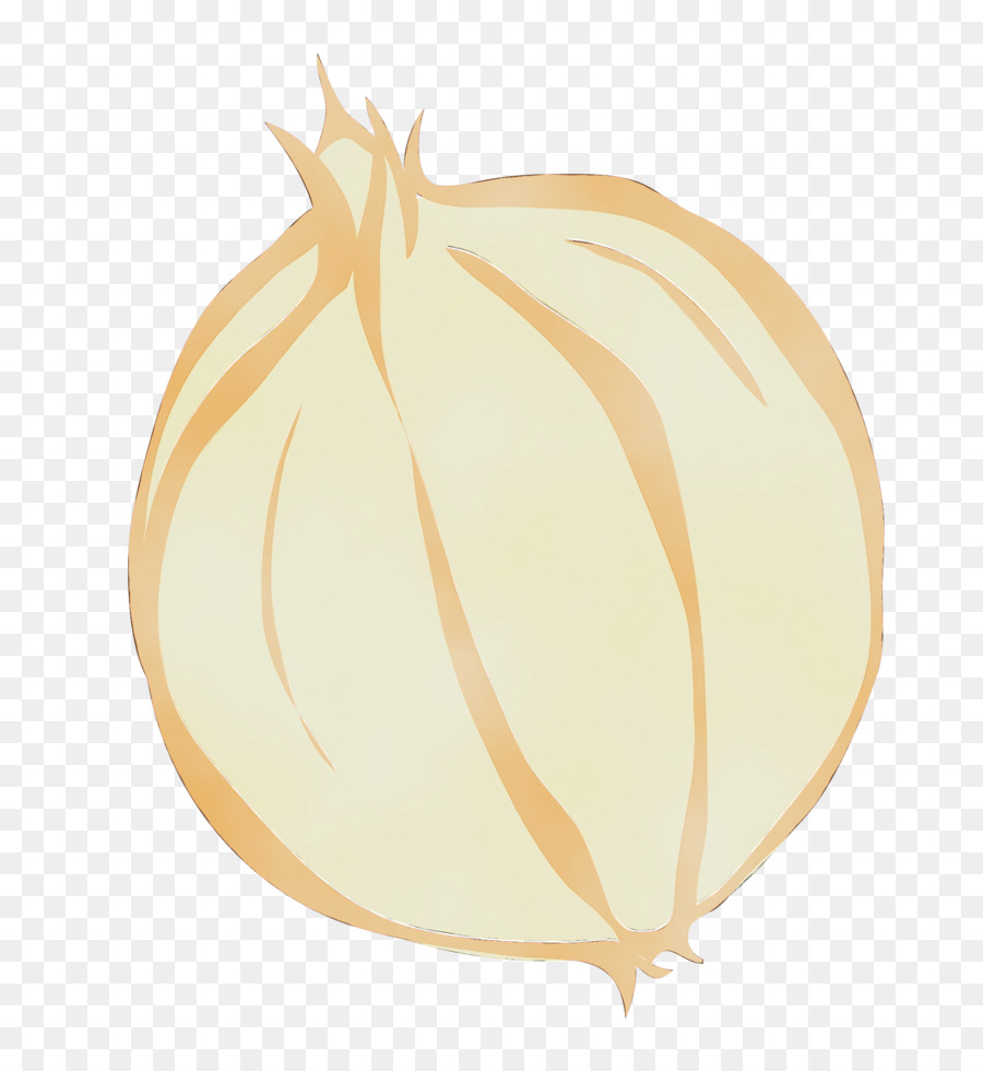 Cebolla，De Los Productos Básicos PNG