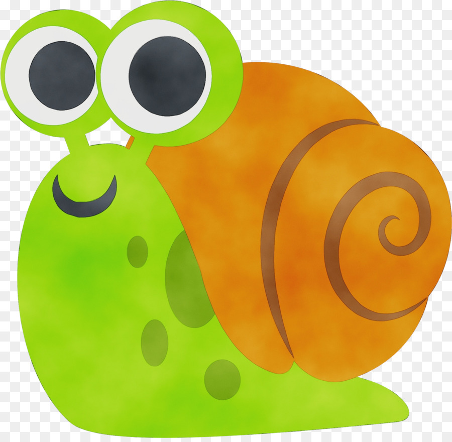 Caracol，Mollusca PNG