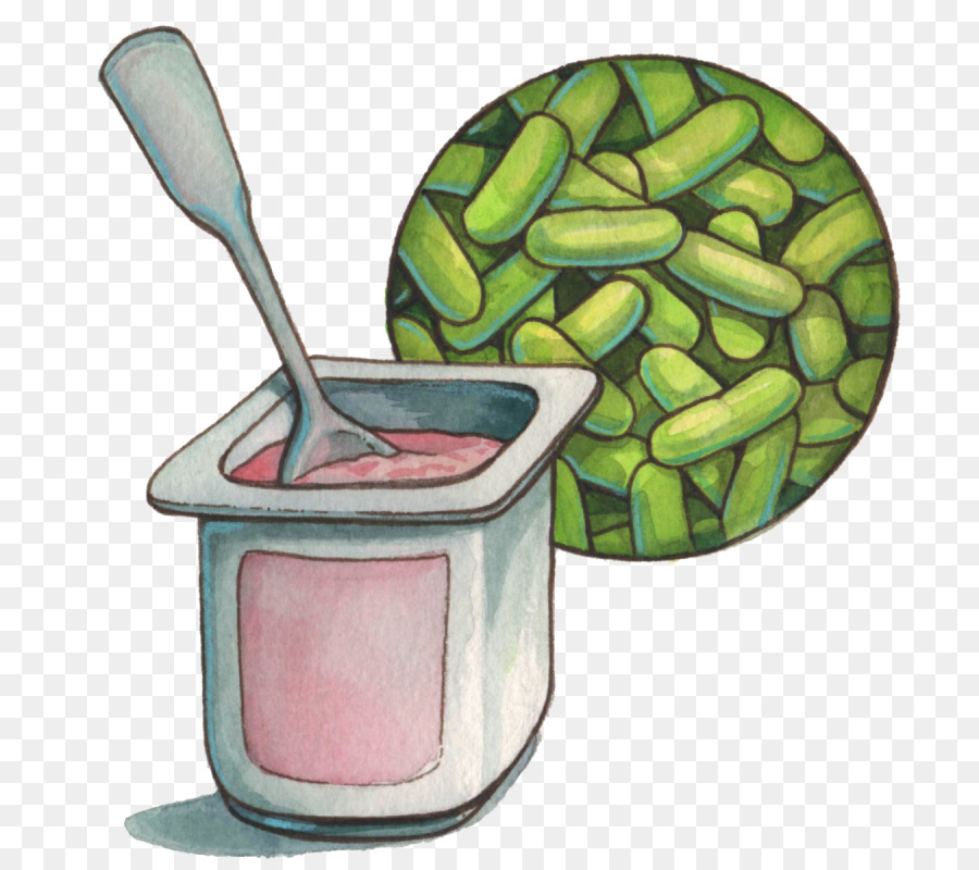 Probióticos，Lactobacillus Acidophilus PNG