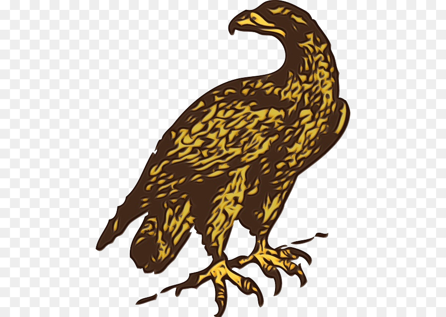 águila Calva，Pico PNG