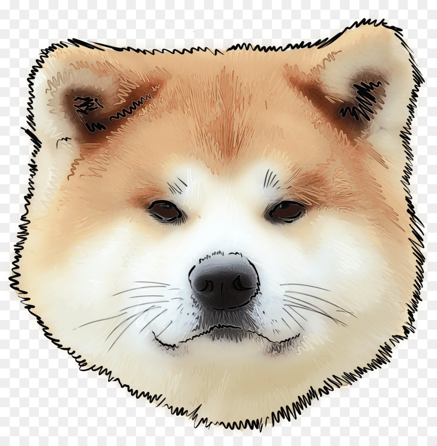 Spitz Finlandés，Shiba Inu PNG