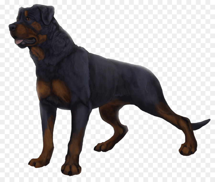 Rottweiler，Deviantart PNG