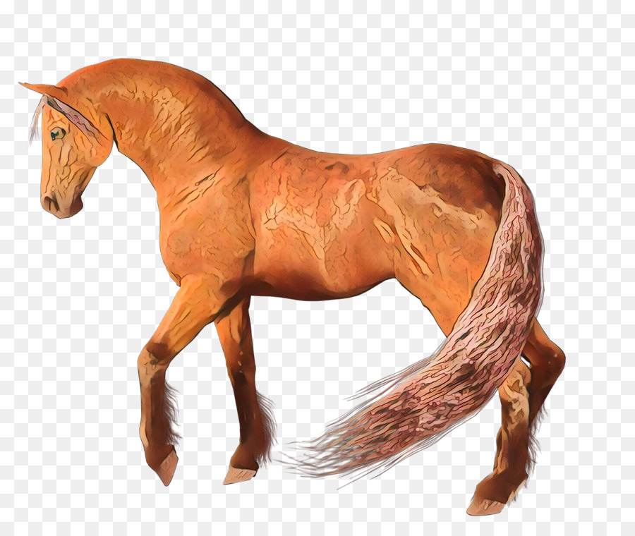 Pura Sangre，Caballo árabe PNG