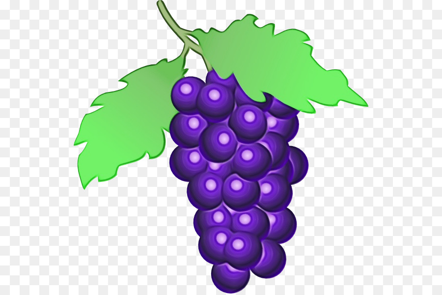 Uva，Vino PNG