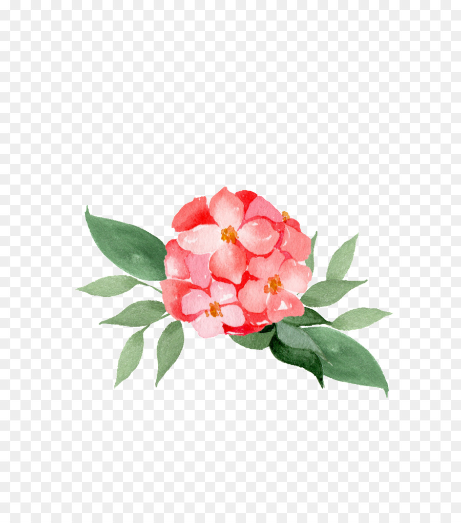 Flor，Diseño Floral PNG