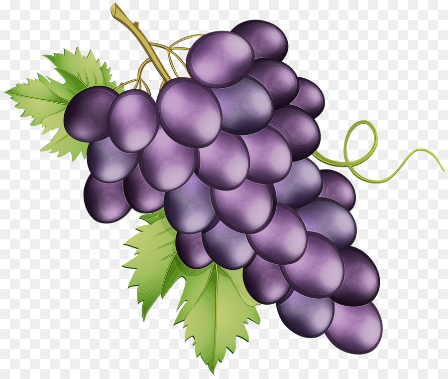 Uvas，Racimo PNG