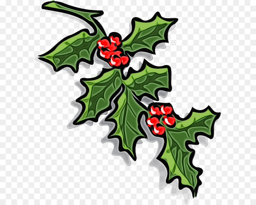 Christmas Day，Común Holly PNG