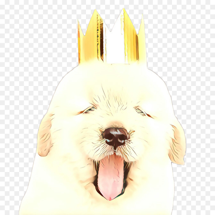 Golden Retriever，Cachorro PNG