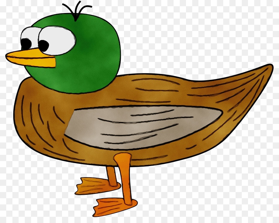 Pato，El ánade Real PNG