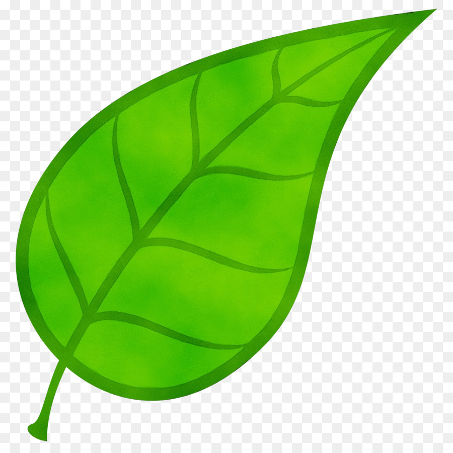 Hoja，Isótopo PNG