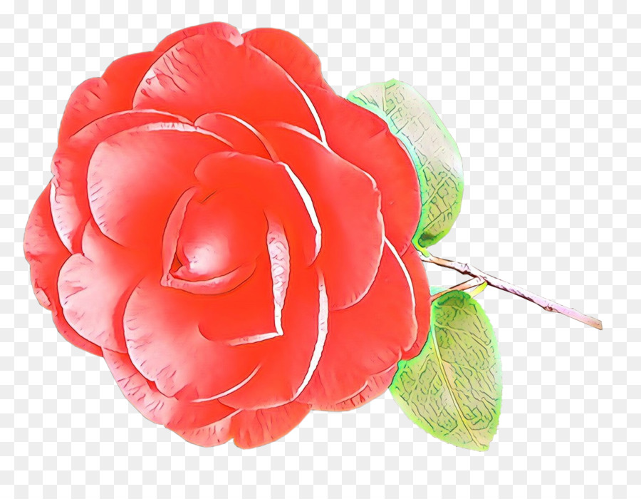 Las Rosas De Jardín，Rosa PNG