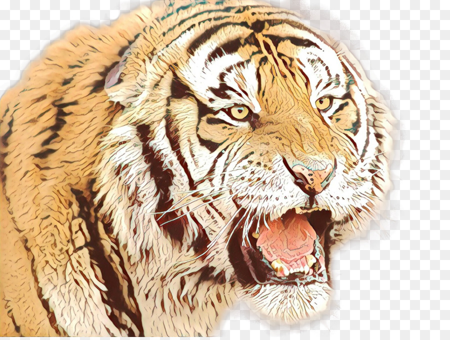 Tigre，Lobo PNG