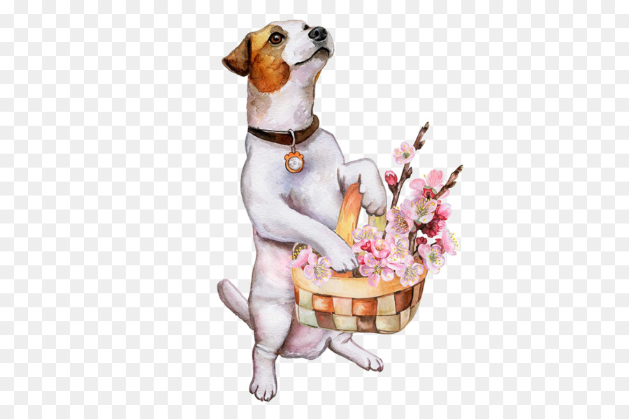 Jack Russell Terrier，Cachorro PNG