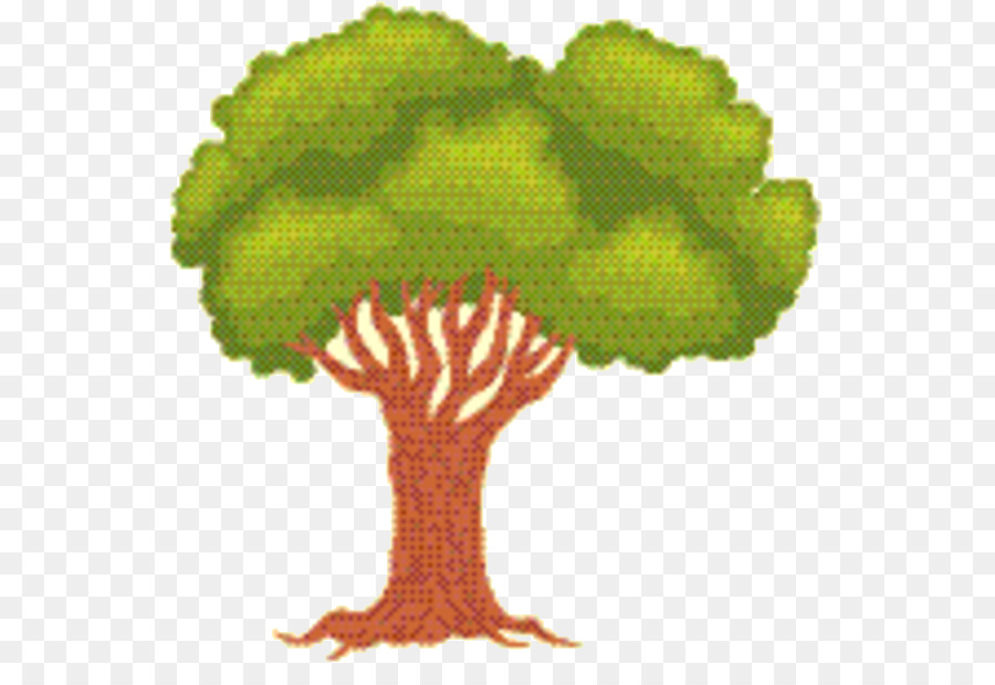 Árbol，La Floración De La Planta PNG