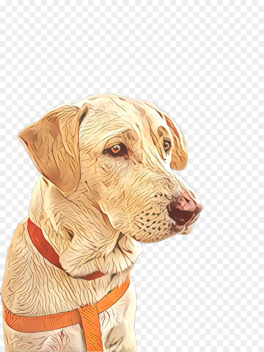 Raza De Perro，Perro De Compañía PNG