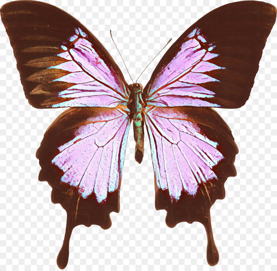 Ulises De La Mariposa，Mariposa De Swallowtail PNG