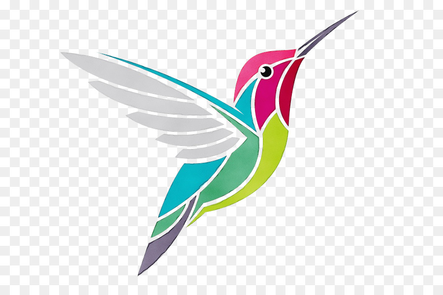 Colibrí，Aves PNG