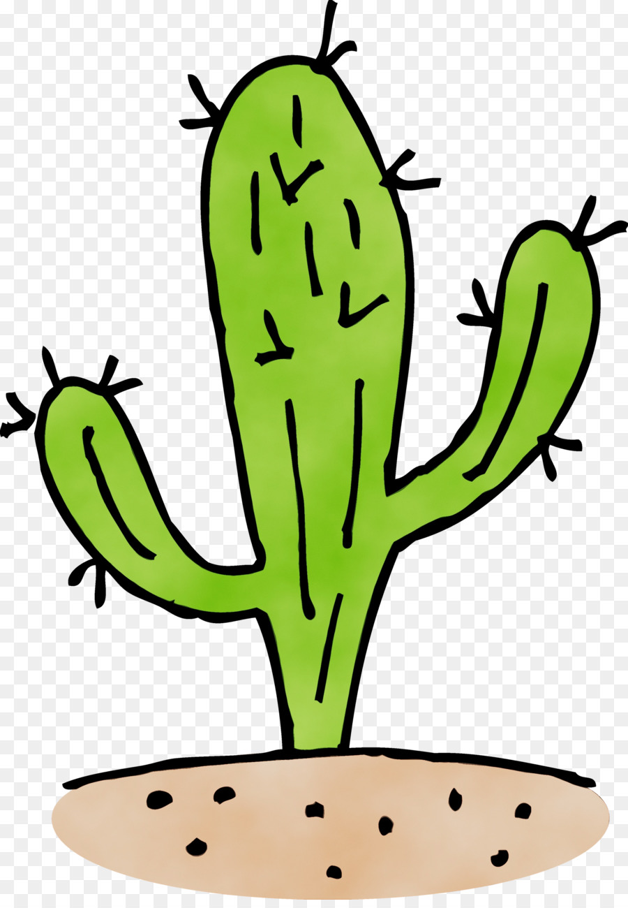 Cactus，Planta Suculenta PNG