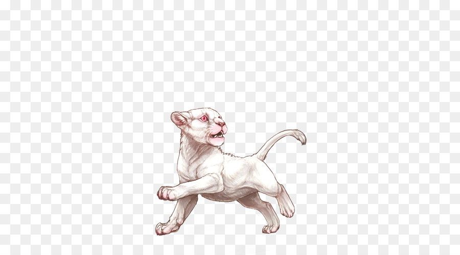 Raza De Perro，Gato PNG