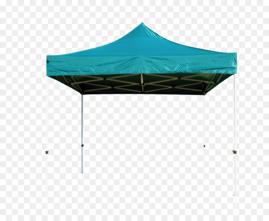 Carpa，Emergente Del Dosel PNG