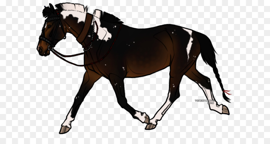 Caballo，Equino PNG