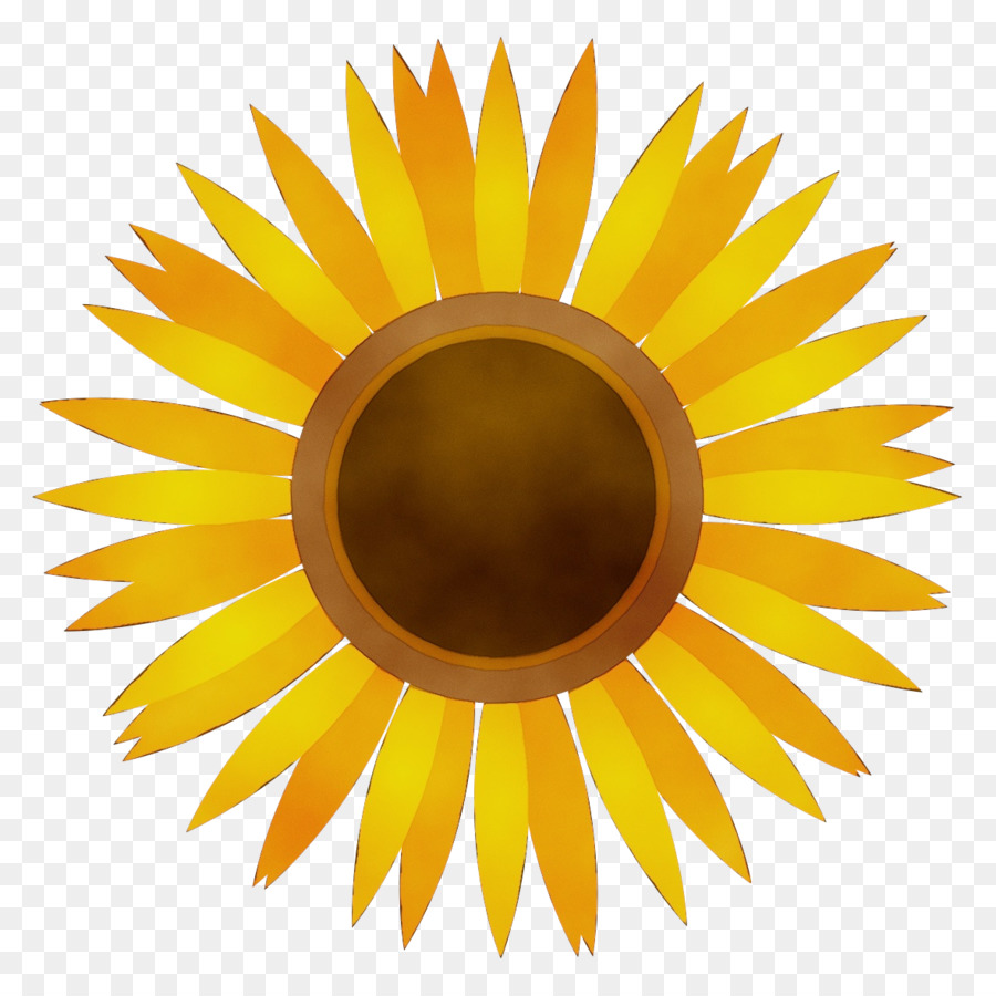 Girasol，Amarillo PNG