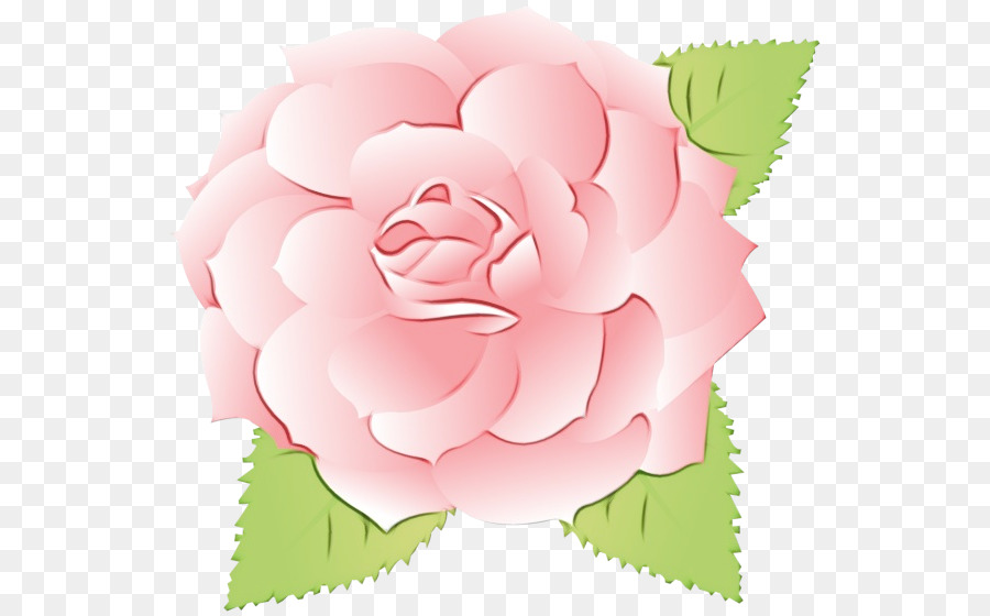 Las Rosas De Jardín，Col Rosa PNG