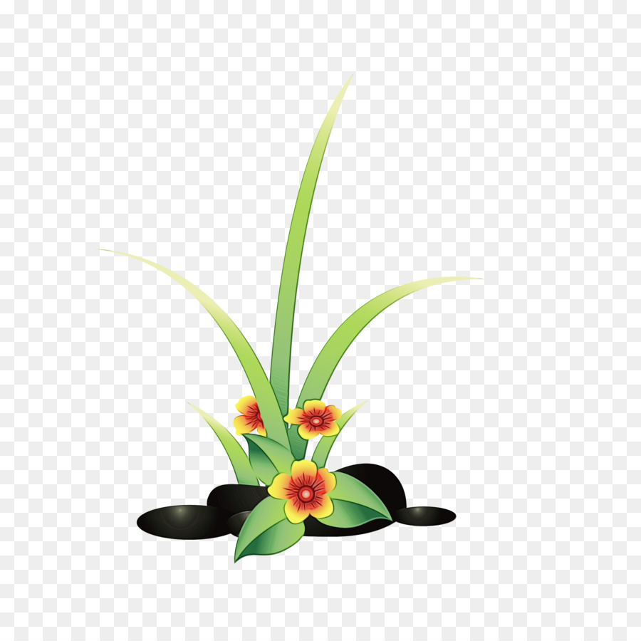 Pétalo，Tallo De La Planta PNG