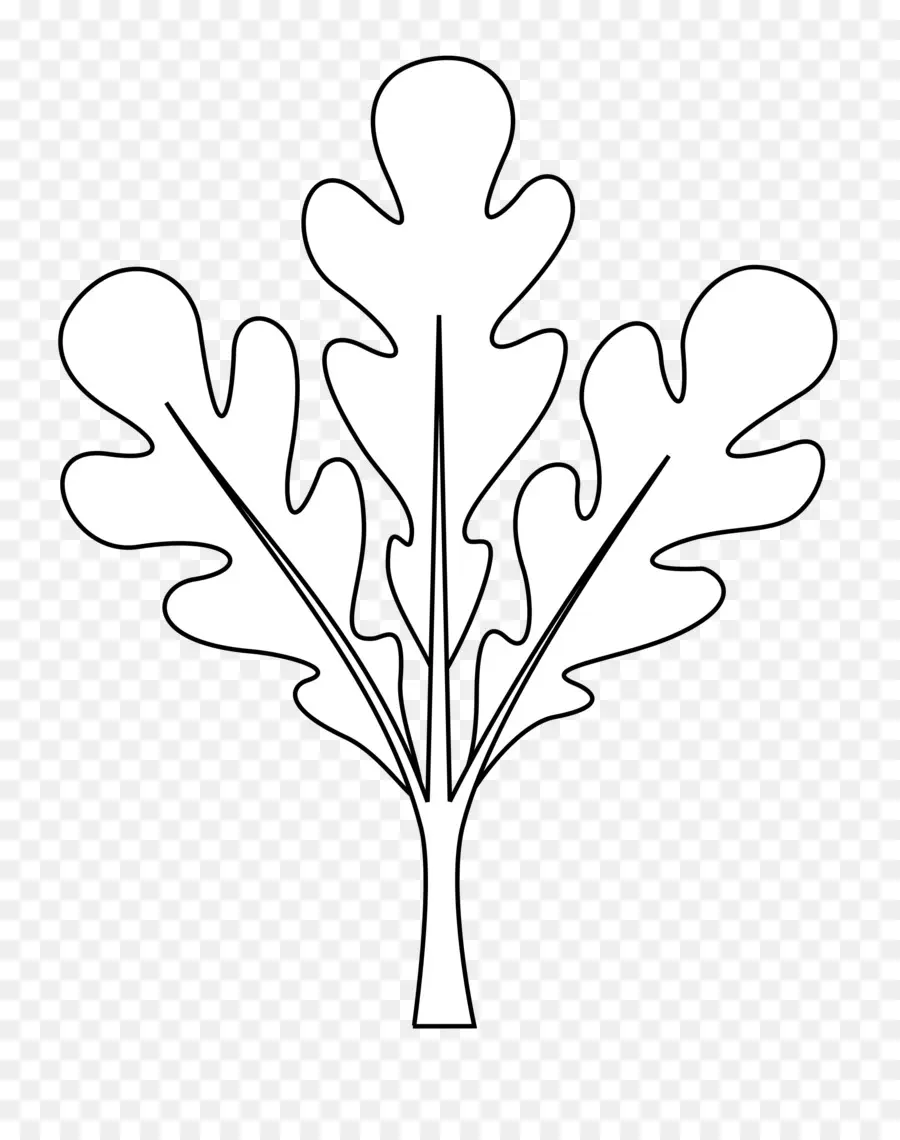 Hoja De Roble，Árbol PNG