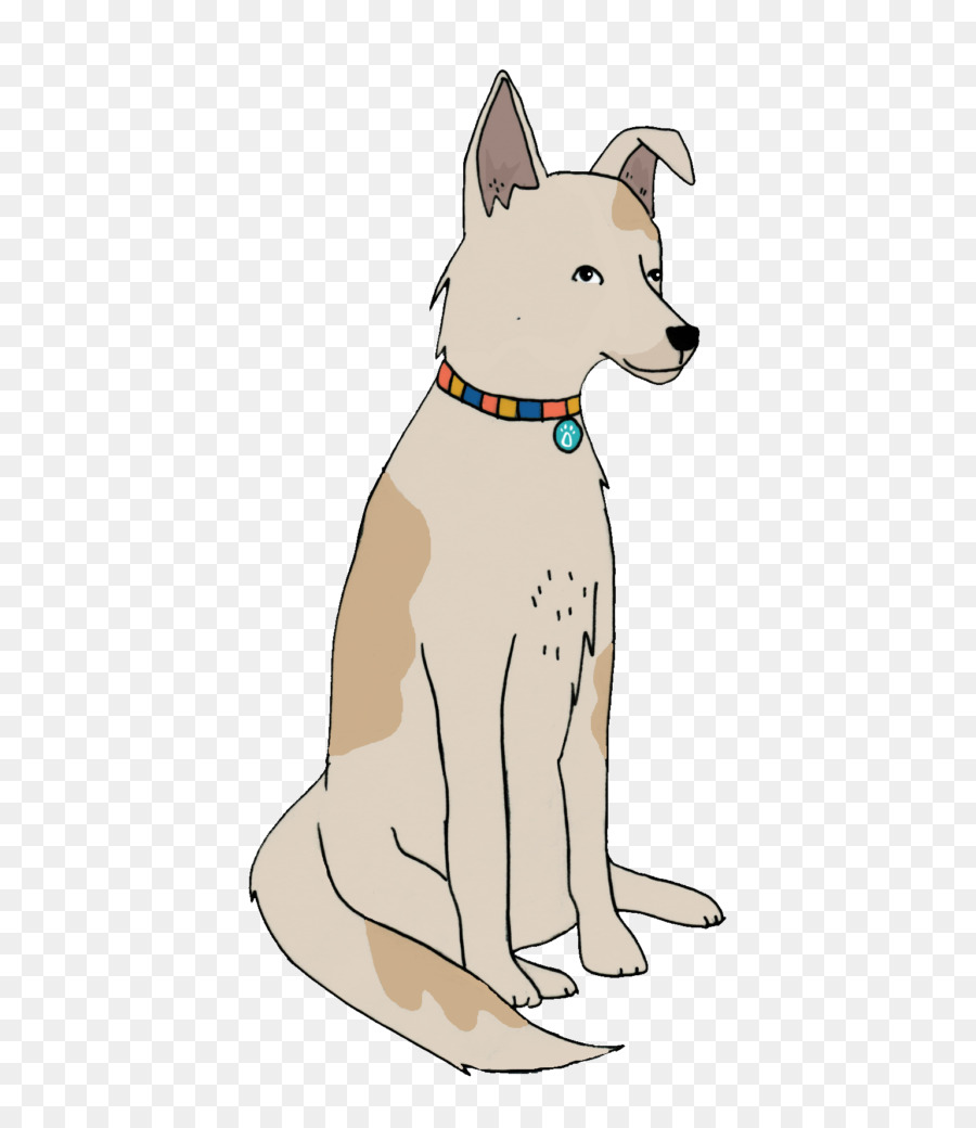 Raza De Perro，Canaán Perro PNG