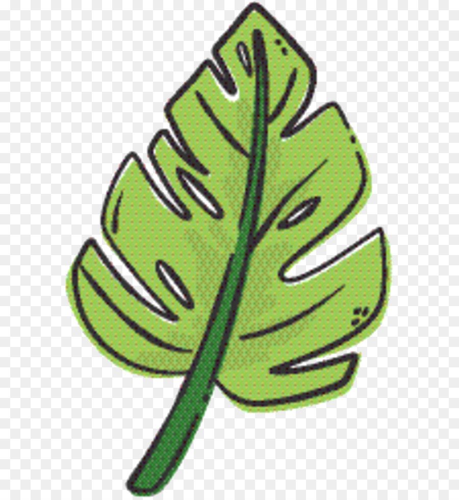 Hoja，Verde PNG