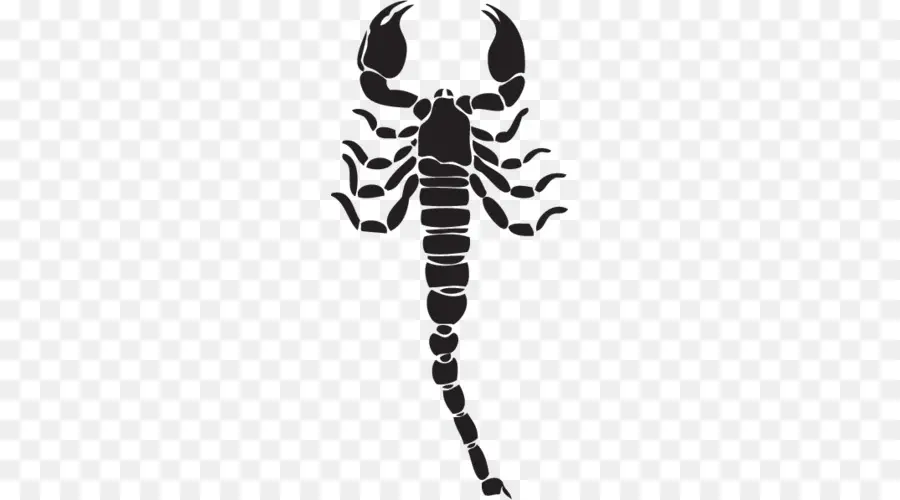 Escorpión，Royaltyfree PNG