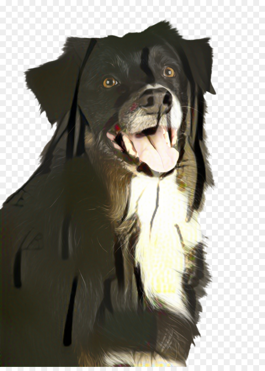 Raza De Perro，Perro PNG