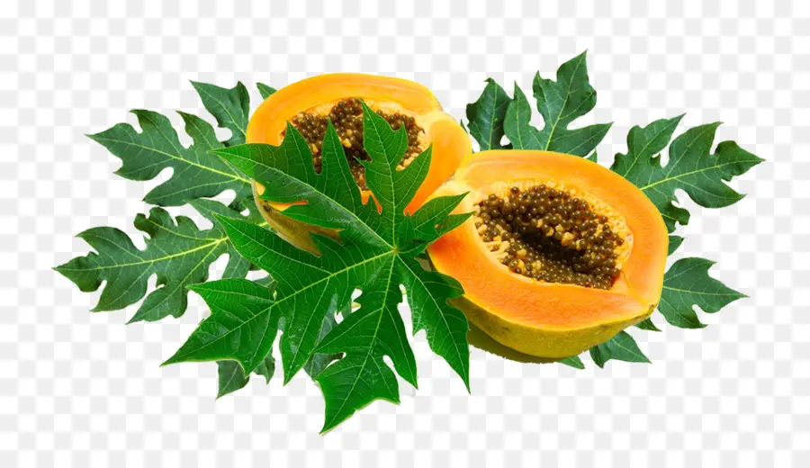 La Papaya，La Hoja De Papaya PNG