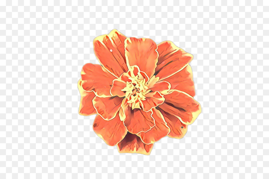 Flor，Diseño Floral PNG