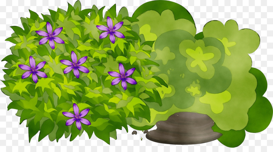 Violeta，Planta Anual PNG