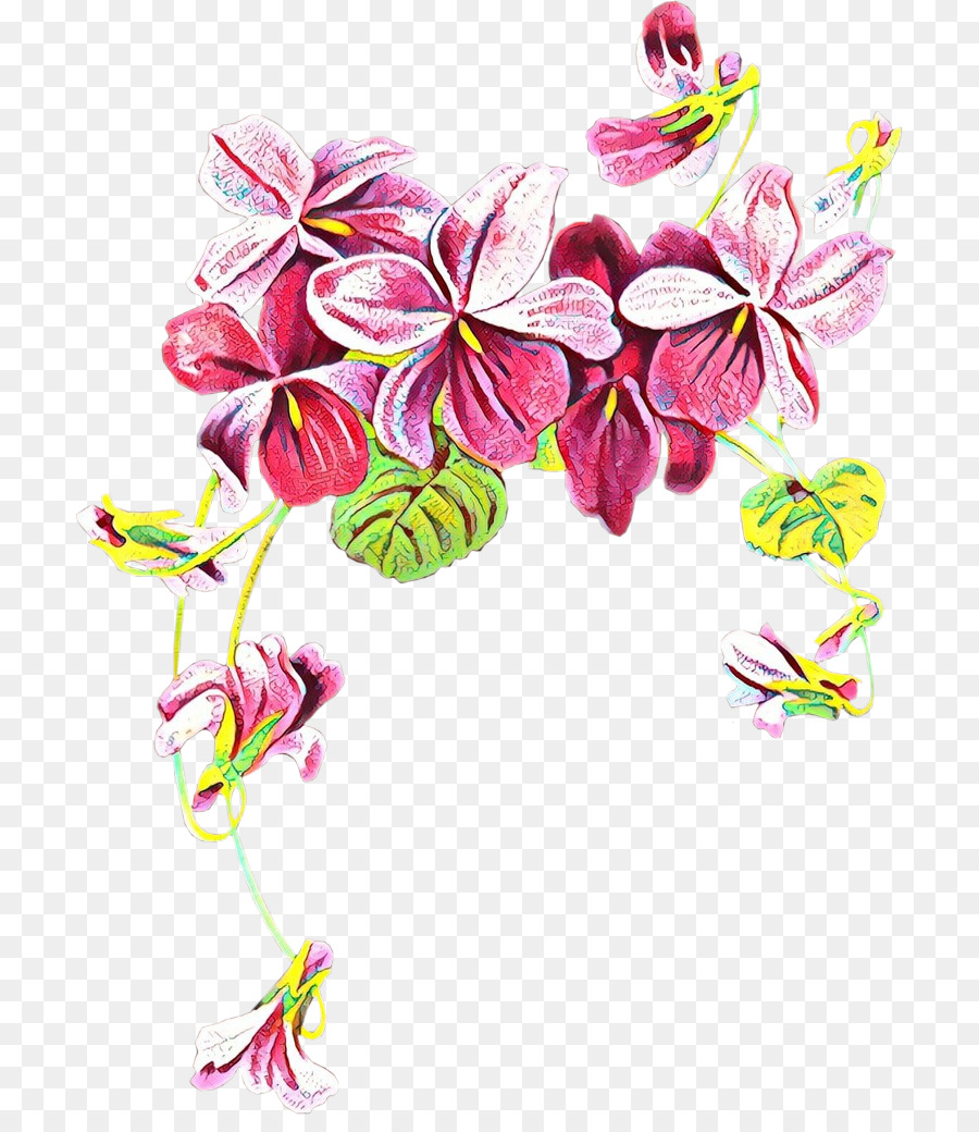 Las Violetas Africanas，Dulce Violeta PNG