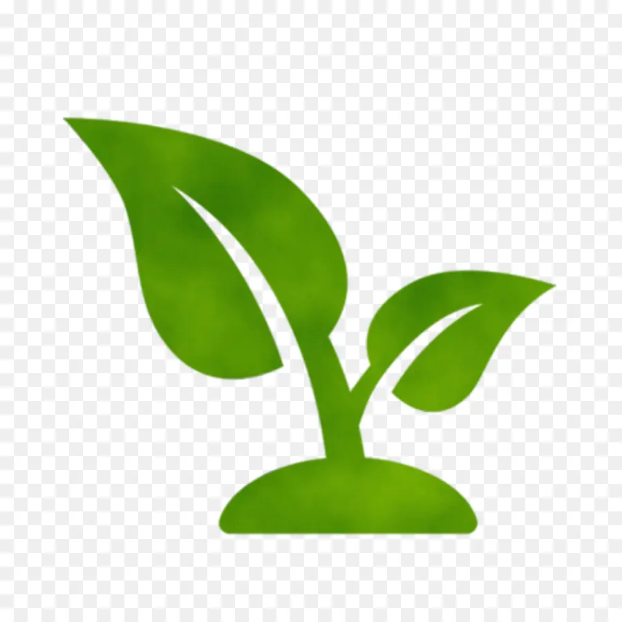 Hoja，Planta PNG