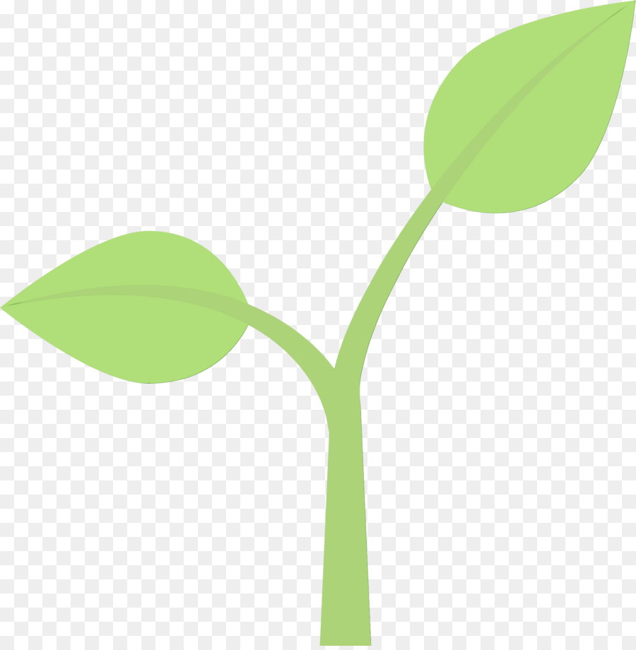 Hojas Verdes，Planta PNG