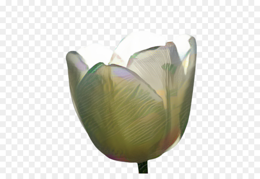 Flor，Florero PNG