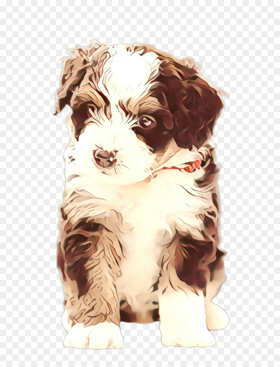 Cavalier King Charles Spaniel，Cachorro PNG