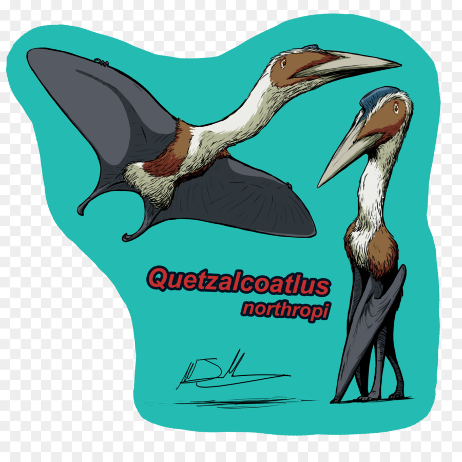 Quetzalcoatlus，Pterosaurios PNG