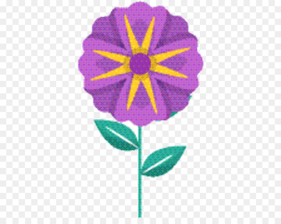 Dalia，Morado PNG