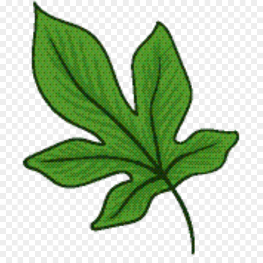 Hoja，Tallo De La Planta PNG